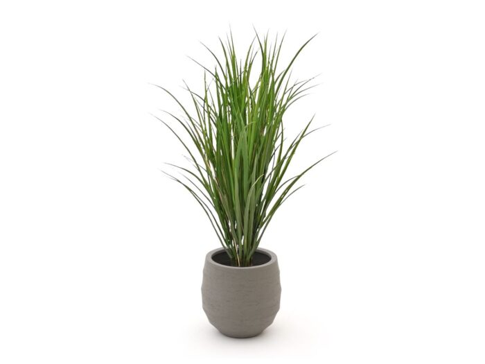 Designplants/Luca Lifestyle Rietgras kunstplant (h:100cm) met Bordo Balloon bloempot Laagste prijsgarantie! – Groen