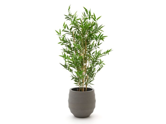 Designplants/Luca Lifestyle Japanse Bamboe kunstplant (h:90cm) met Bordo Balloon bloempot Laagste prijsgarantie! – Groen