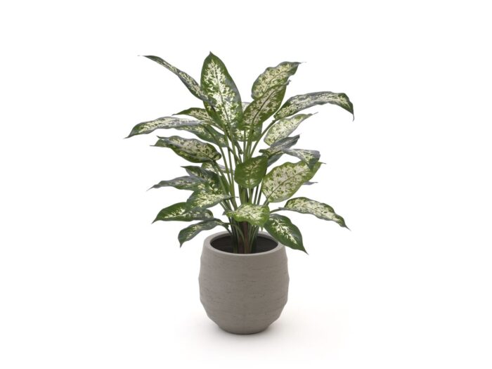 Designplants/Luca Lifestyle Dieffenbachia kunstplant (h:60cm) met Bordo Balloon bloempot Laagste prijsgarantie! – Groen