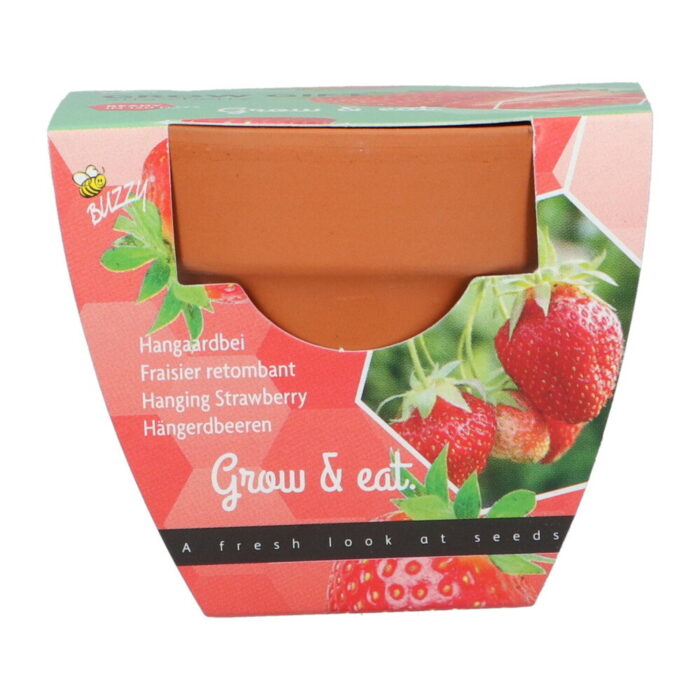 Buzzy Grow gifts kweekset groeicadeautje aardbei – Zie Foto
