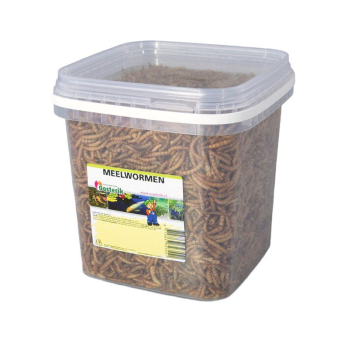 Suren collection Meelwormen 2,5 liter voer – Zie Foto