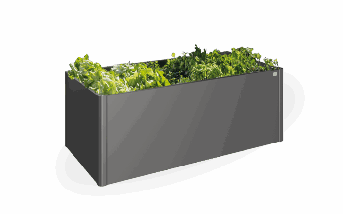 Biohort Plantenbak Moestuinbox – grijs;zwart