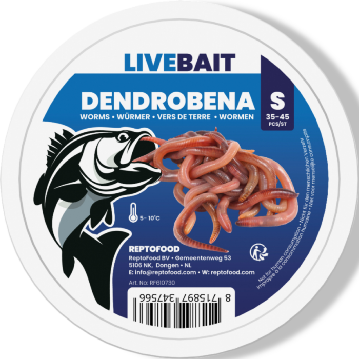 Aquadistri Dendrobena worm s 35-45st Reptofood – Zie Foto
