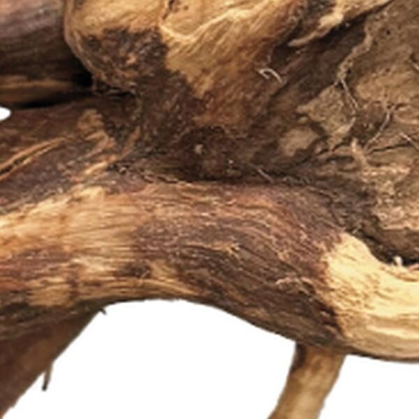 Aquadistri Spider wood 10-15 cm BioArt – bruin