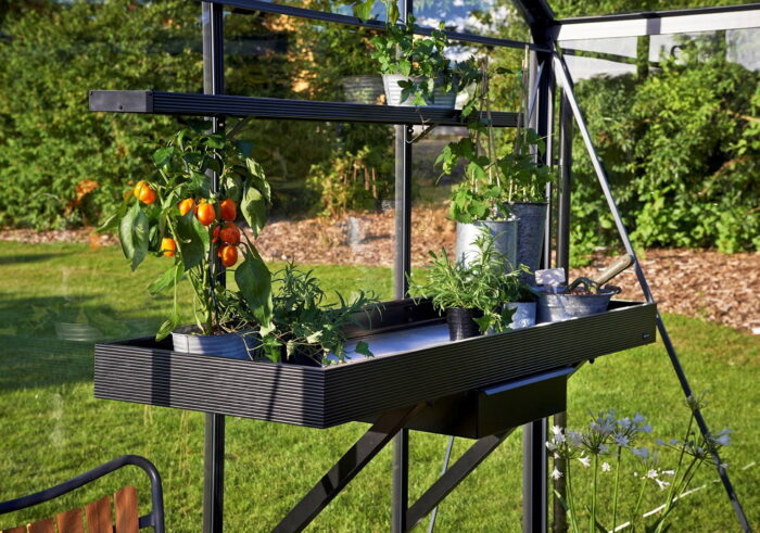 Royal well Kweektafel 213×52 cm lade zwart