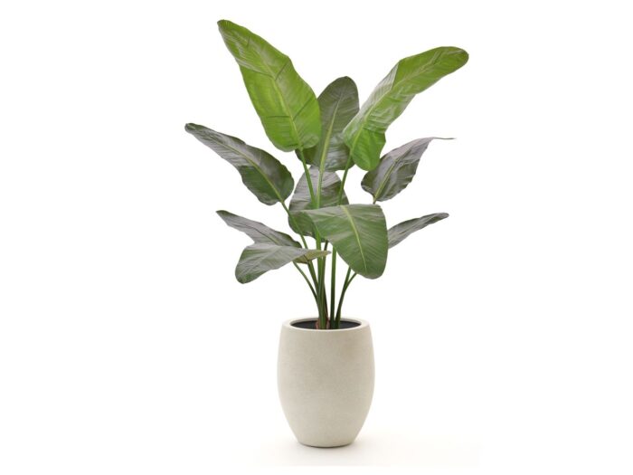 Designplants/Luca Lifestyle Strelitzia Nicolai kunstplant (h:145cm) met Grigio Tall Balloon bloempot Laagste prijsgarantie! – Groen