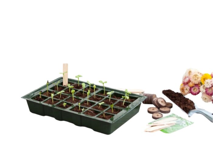 Nature Kweekbakset H11x35x23,5cm set a 4 stuks