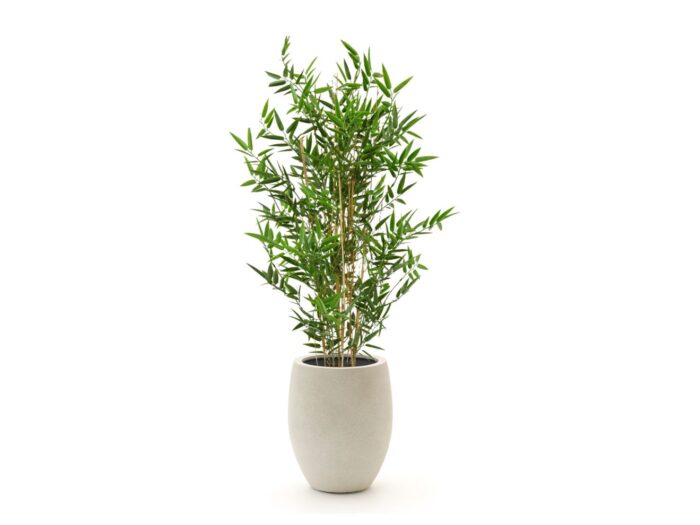 Designplants/Luca Lifestyle Japanse Bamboe kunstplant (h:90cm) met Grigio Tall Balloon bloempot Laagste prijsgarantie! – Groen