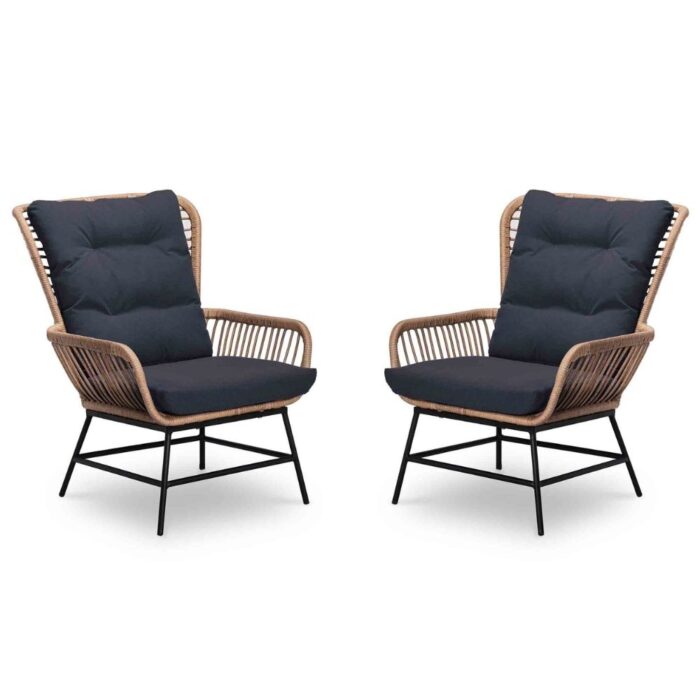 BUITEN living Dex loungestoel tuin set van 2 | wicker + aluminium | Bamboo antraciet – Taupe – Naturel – Bruin