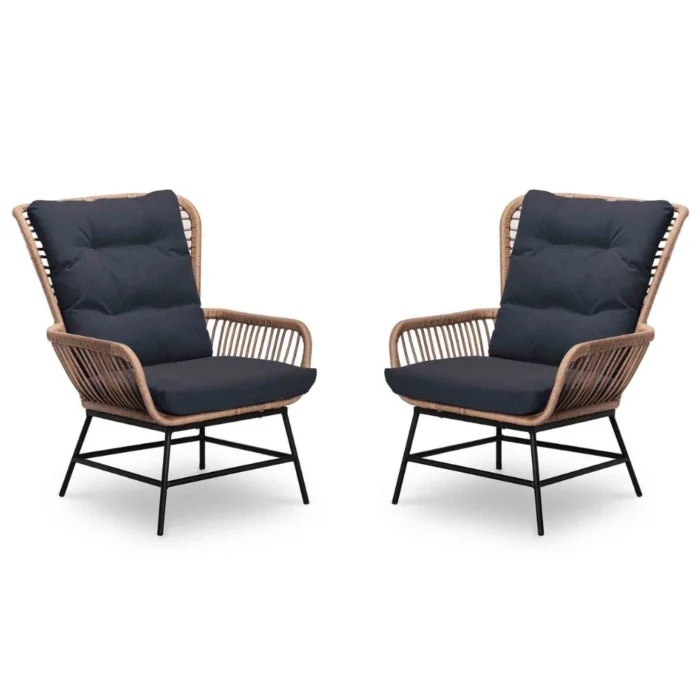 BUITEN living Dex loungestoel tuin set van 2 | wicker + aluminium | Bamboo antraciet - Taupe - Naturel - Bruin