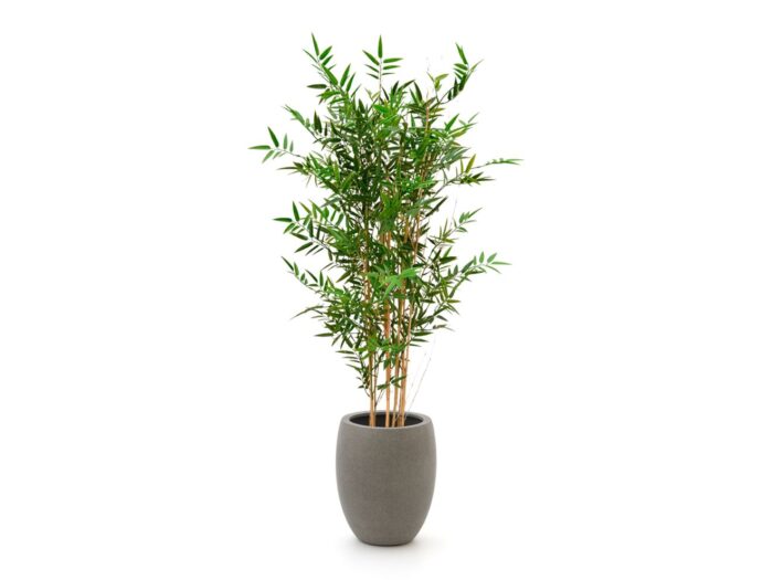 Designplants/Luca Lifestyle Japanse Bamboe kunstplant (h:120cm) met Grigio Tall Balloon bloempot Laagste prijsgarantie! – Groen