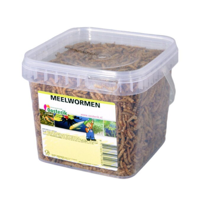 Suren collection Meelwormen 1,2 liter voer – Zie Foto