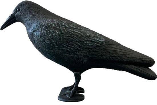 Superfish Deco vogel kraai – zwart