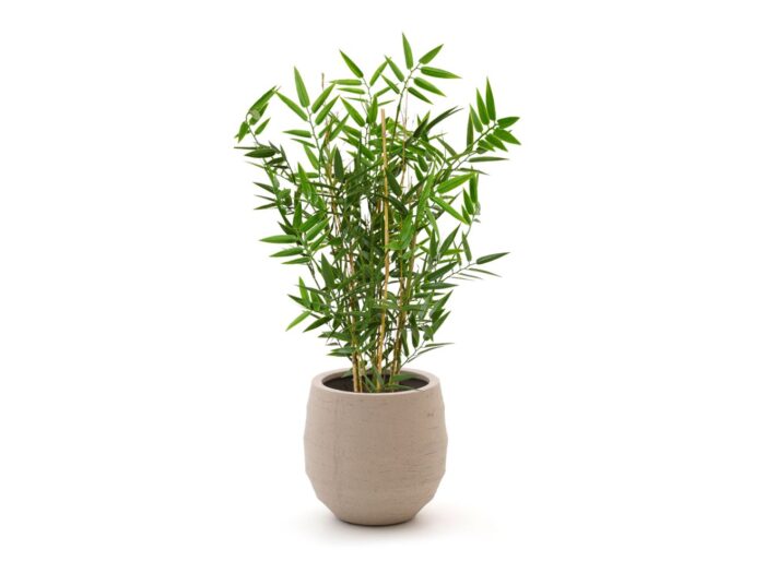 Designplants/Luca Lifestyle Japanse Bamboe kunstplant (h:60cm) met Bordo Balloon bloempot Laagste prijsgarantie! – Groen