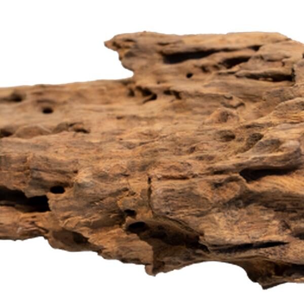 Aquadistri Honeycomb wood medium