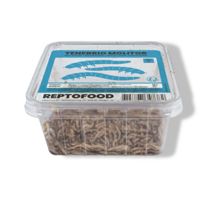 Aquadistri Meelwormen bakje 50g Reptofood – Zie Foto