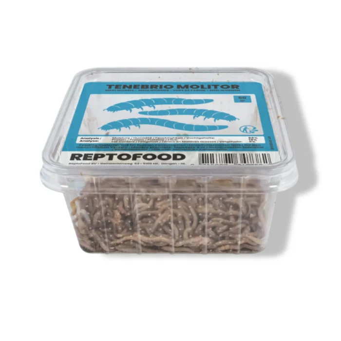 Aquadistri Meelwormen bakje 50g Reptofood - Zie Foto